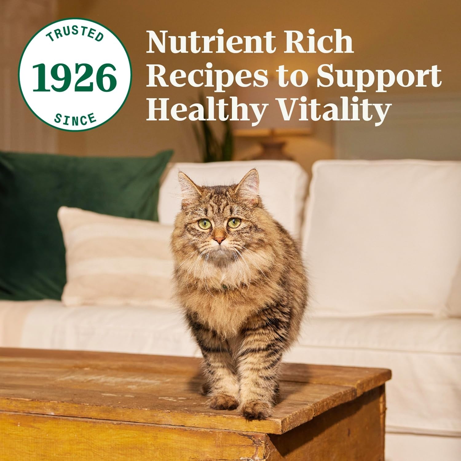 Wholesome Essentials Adult & Senior Dry Cat Food, Chicken