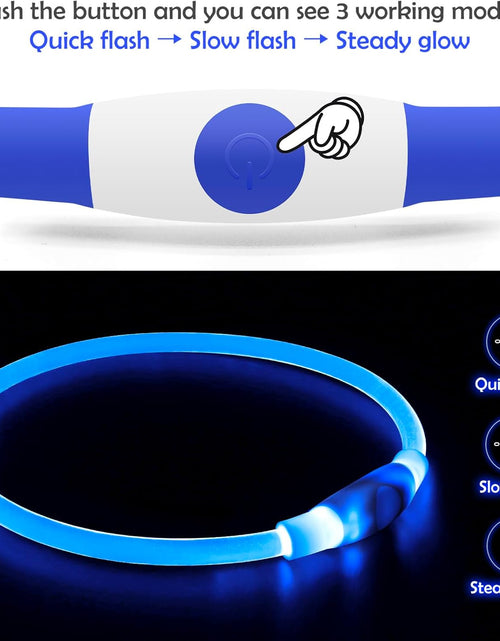 Load image into Gallery viewer, Light up Dog Collar,  USB Rechargeable Flash Dog Necklace Light, Pet Safety Collar Makes Your Beloved Dogs Be Seen at Night for Small Medium Large Dogs(Blue)
