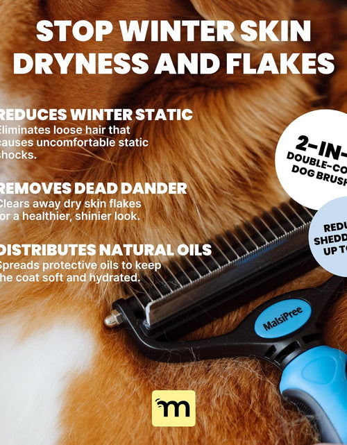 Load image into Gallery viewer, Dog Grooming Brush for Shedding - 2 in 1 Deshedding Tool and Undercoat Rake for Long and Short Haired Dogs with Double Coat - Dematting Comb and Pet Hair Deshedder Supplies (Large, Blue)
