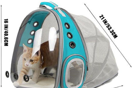 Cat Travel Backpack with Fan, Fit up to 20 Lbs, Space Capsule Astronaut Clear Bubble Window Pet Backpack for Kitten and Small Puppy (Green, Back Extension + Fan)