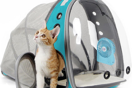 Cat Travel Backpack with Fan, Fit up to 20 Lbs, Space Capsule Astronaut Clear Bubble Window Pet Backpack for Kitten and Small Puppy (Green, Back Extension + Fan)
