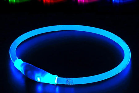 Light up Dog Collar,  USB Rechargeable Flash Dog Necklace Light, Pet Safety Collar Makes Your Beloved Dogs Be Seen at Night for Small Medium Large Dogs(Blue)
