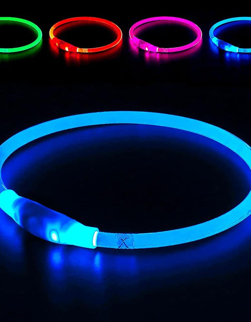 Load image into Gallery viewer, Light up Dog Collar,  USB Rechargeable Flash Dog Necklace Light, Pet Safety Collar Makes Your Beloved Dogs Be Seen at Night for Small Medium Large Dogs(Blue)
