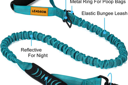 6FT Highly Reflective Heavy Duty Elastic Bungee Medium and Large Dog Leash Shock Absorbing with Comfortable Padded Handle and Traffic Handle Suitable for Training