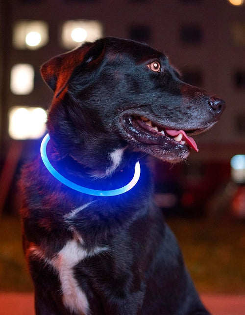 Load image into Gallery viewer, Light up Dog Collar,  USB Rechargeable Flash Dog Necklace Light, Pet Safety Collar Makes Your Beloved Dogs Be Seen at Night for Small Medium Large Dogs(Blue)
