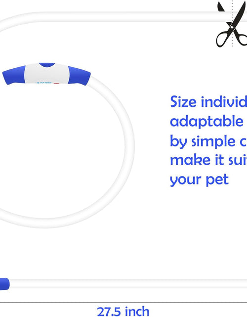 Load image into Gallery viewer, Light up Dog Collar,  USB Rechargeable Flash Dog Necklace Light, Pet Safety Collar Makes Your Beloved Dogs Be Seen at Night for Small Medium Large Dogs(Blue)
