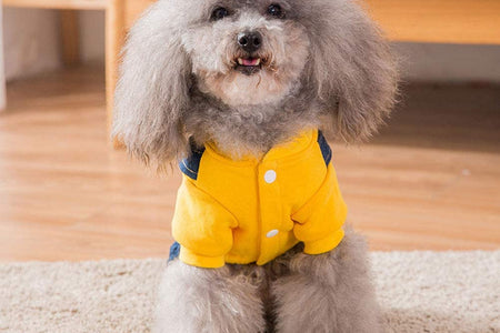 Dog Costume Clothes, Cute Denim Overalls for Small & Medium Pets, Boy & Girl Dogs Coats Jeans T-Shirts Sweatshirts