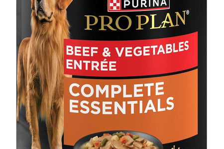 High Protein, Gravy Adult Wet Dog Food - (12) 13 Oz. Cans