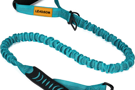 6FT Highly Reflective Heavy Duty Elastic Bungee Medium and Large Dog Leash Shock Absorbing with Comfortable Padded Handle and Traffic Handle Suitable for Training