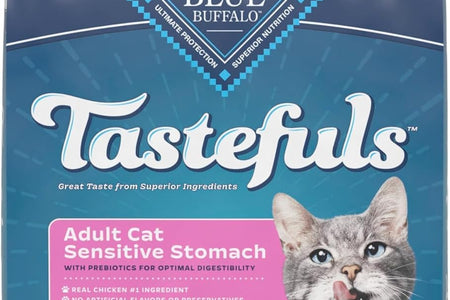 Sensitive Stomach Natural Adult Dry Cat Food, Chicken & Brown Rice