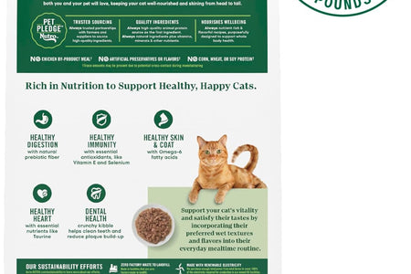Wholesome Essentials Adult & Senior Dry Cat Food, Chicken